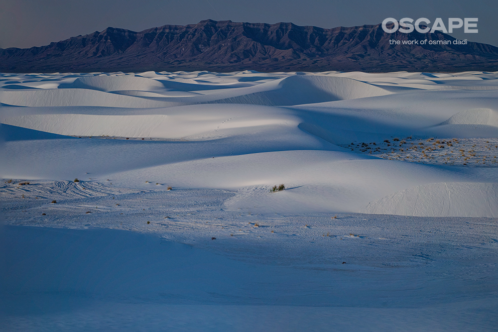 White Sands by Night