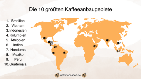 Eine Weltkarte der 10 größten Kaffeeanbaugebiete der Welt, die Länder sind mit einer Kaffeebohne markiert.