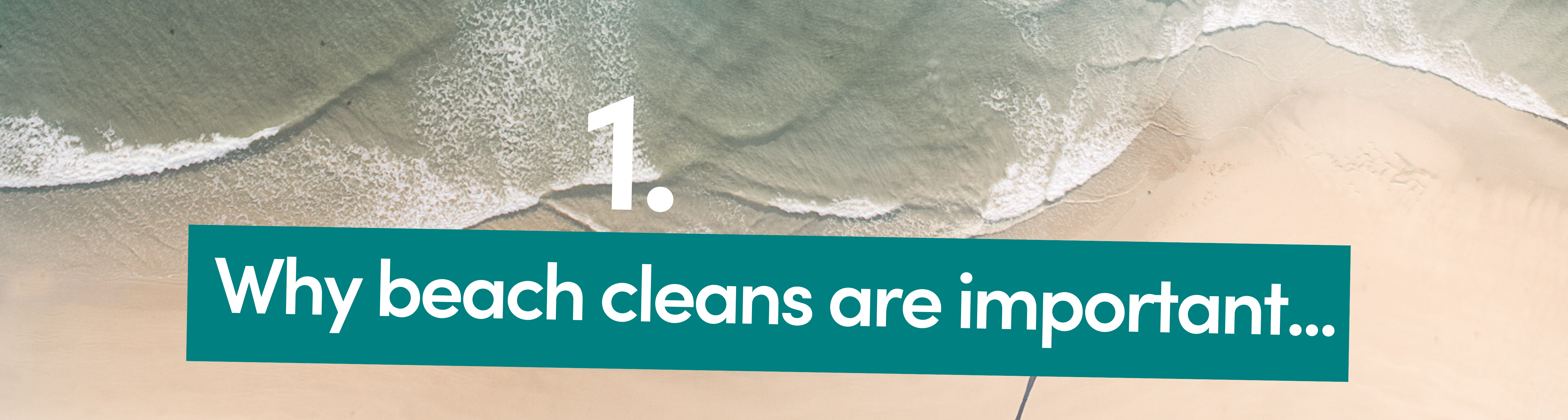 question 1 why beach cleans are important