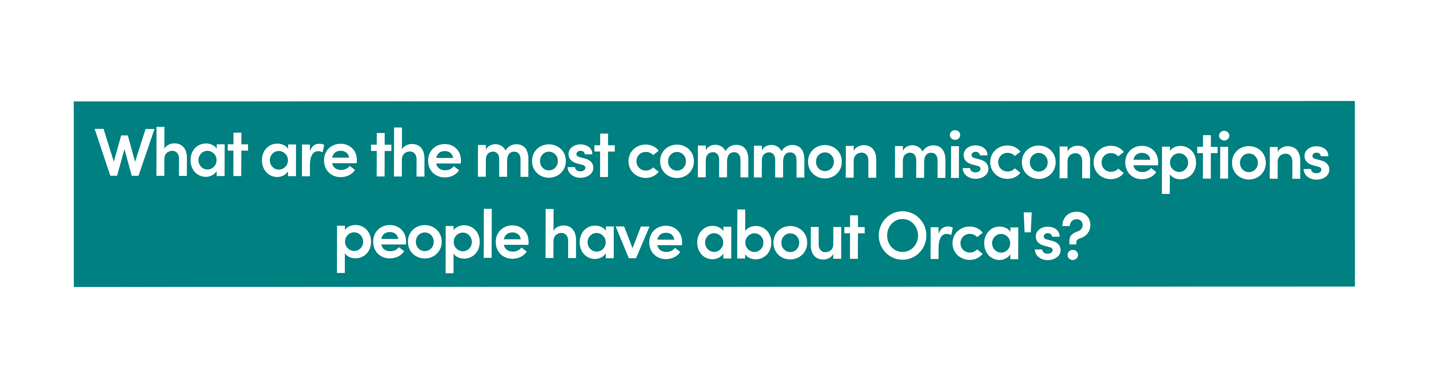 What are the most common misconceptions people have about Orca's?