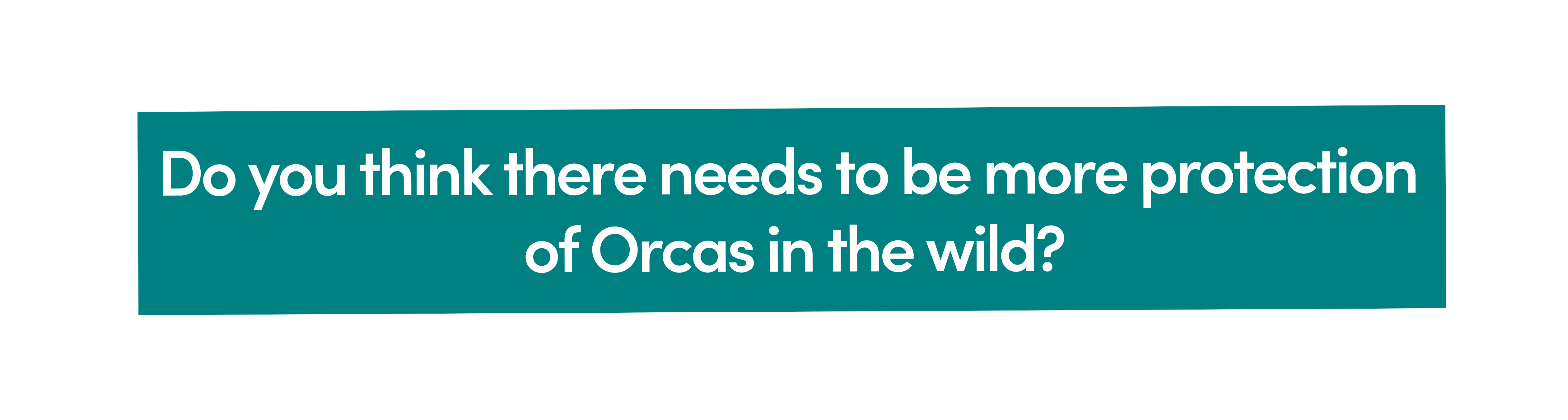 Do you think there needs to be more protection of Orcas in the wild?