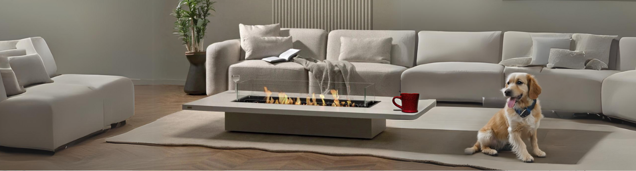 EcoSmart Fire