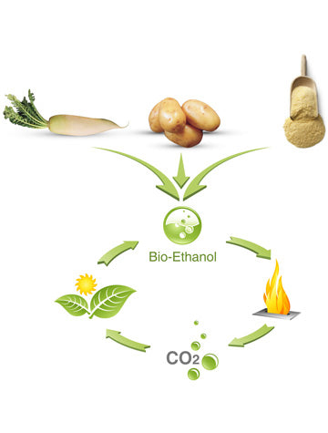 Choosing the Right Bioethanol Fuel: A Guide to EkoFuel for Clean