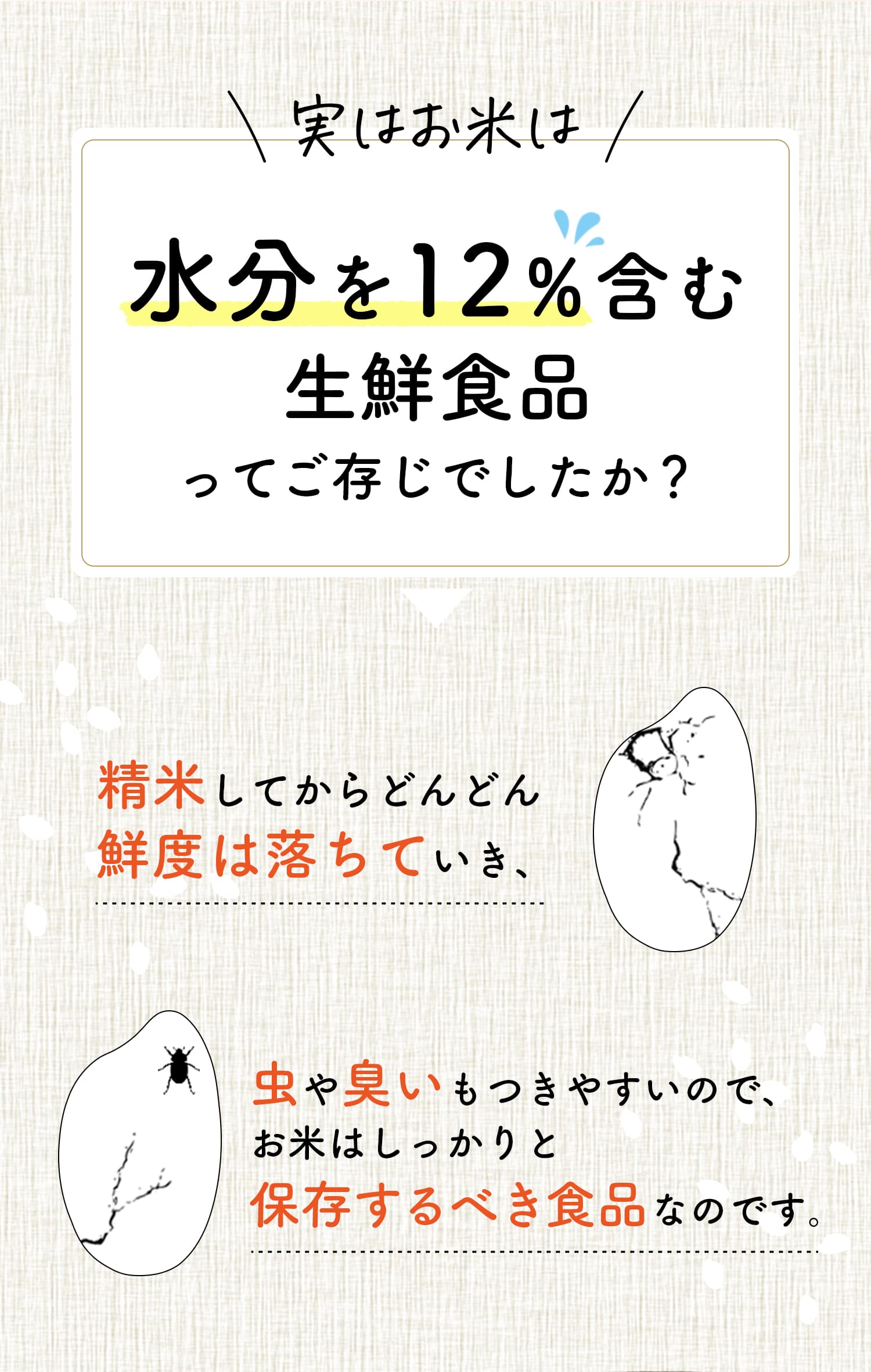 実はお米は、水分を12％を含む生鮮食品。精米しから、どんどん鮮度は落ちていきます。また虫や臭いもつきやすく、お米はしっかりと保存するべき食品。