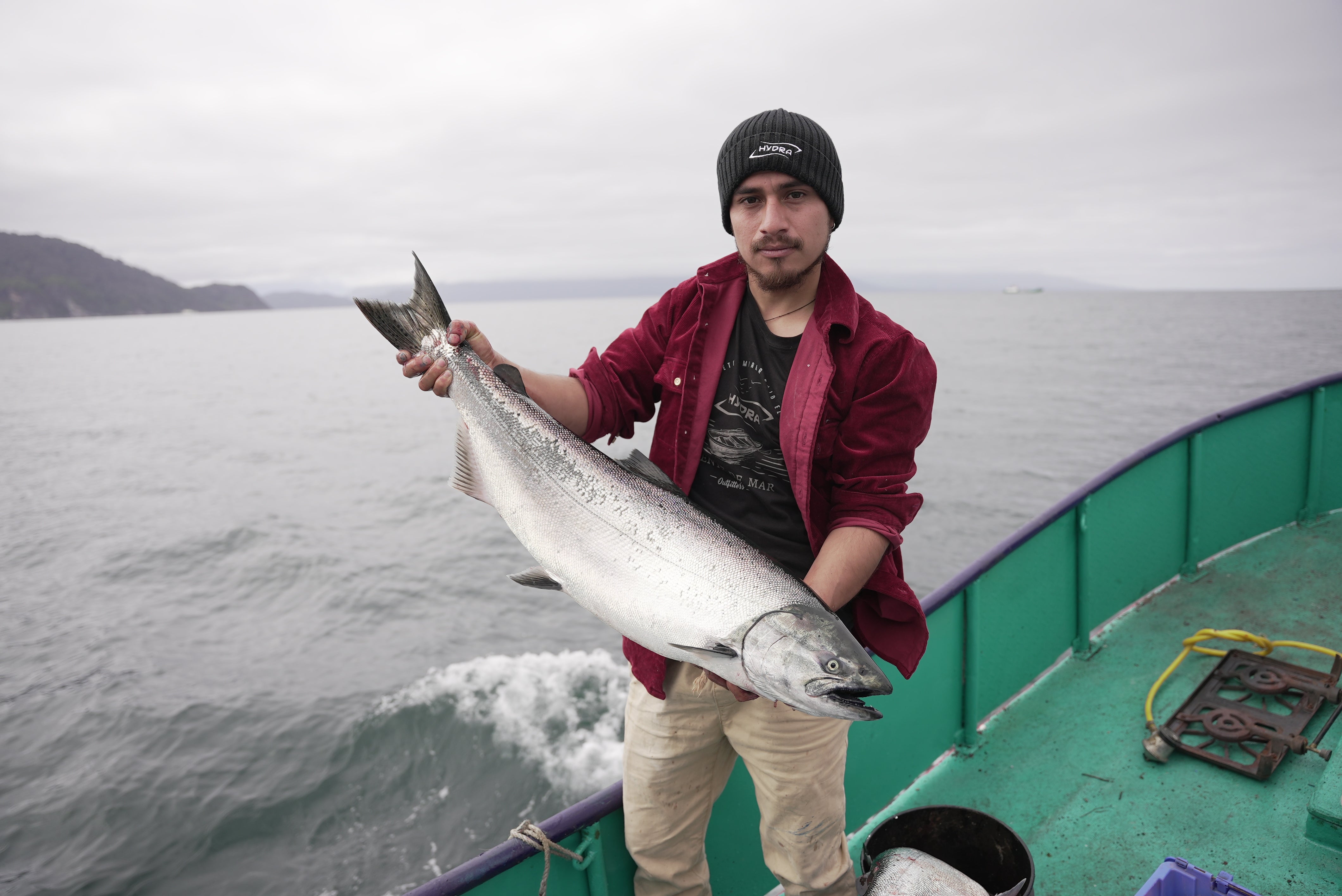 Las mejores ofertas en Equipo de Pesca de agua dulce trucha sin marca