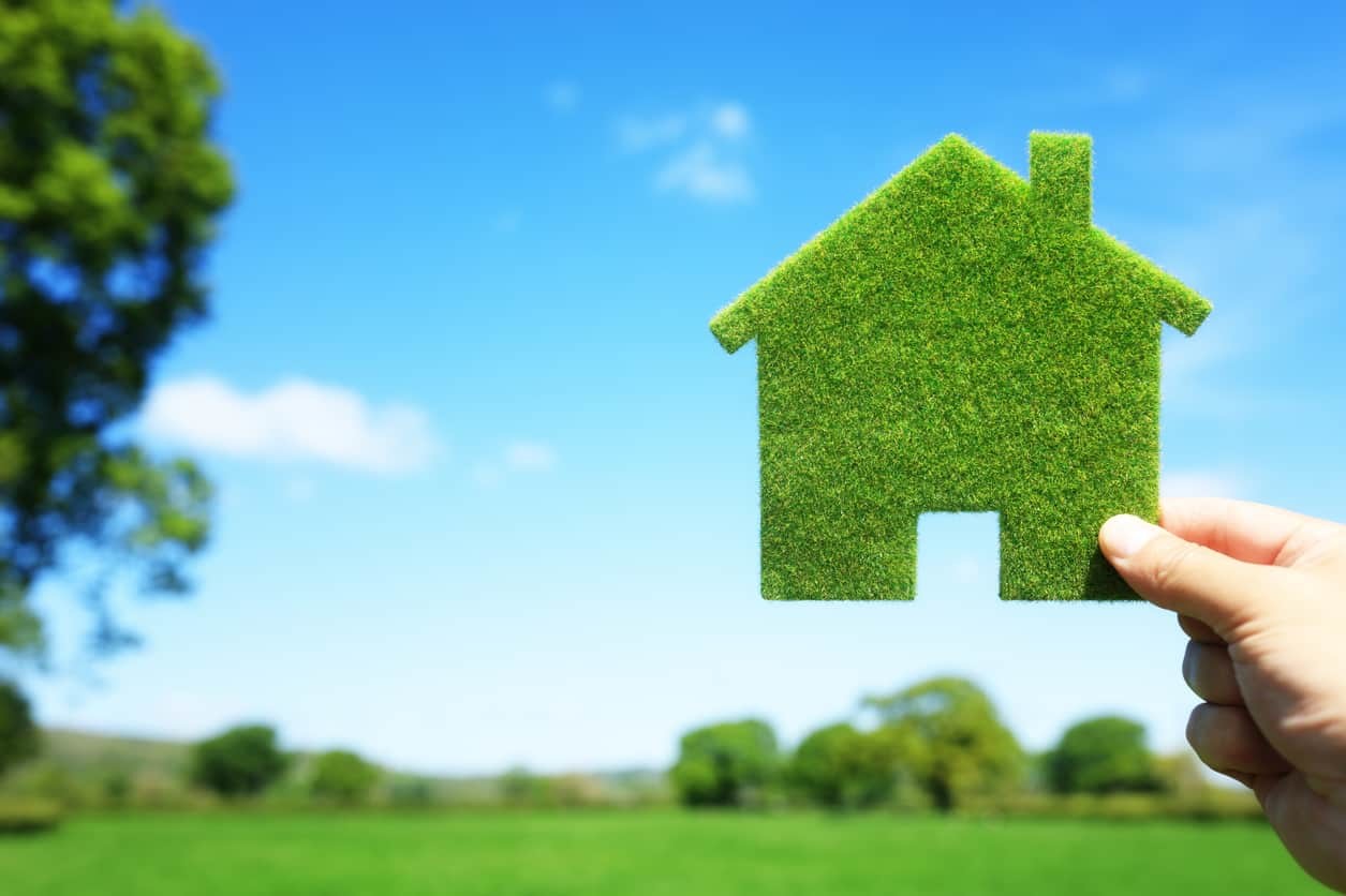 8 Eco-Friendly Home Tips to Help Save the Planet | Energy Outlet
