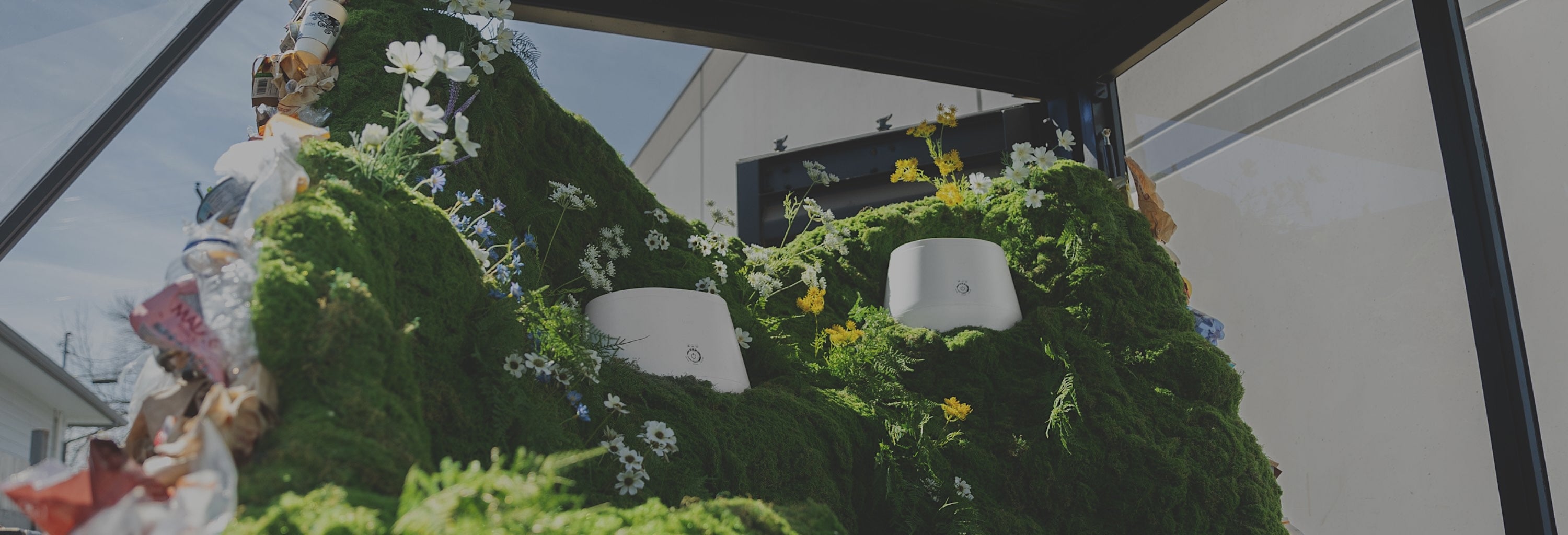 White plastic devices surrounded by lush green moss and various small flowers in a display.
