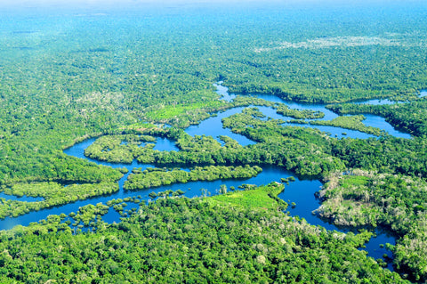 Amazon River Basin