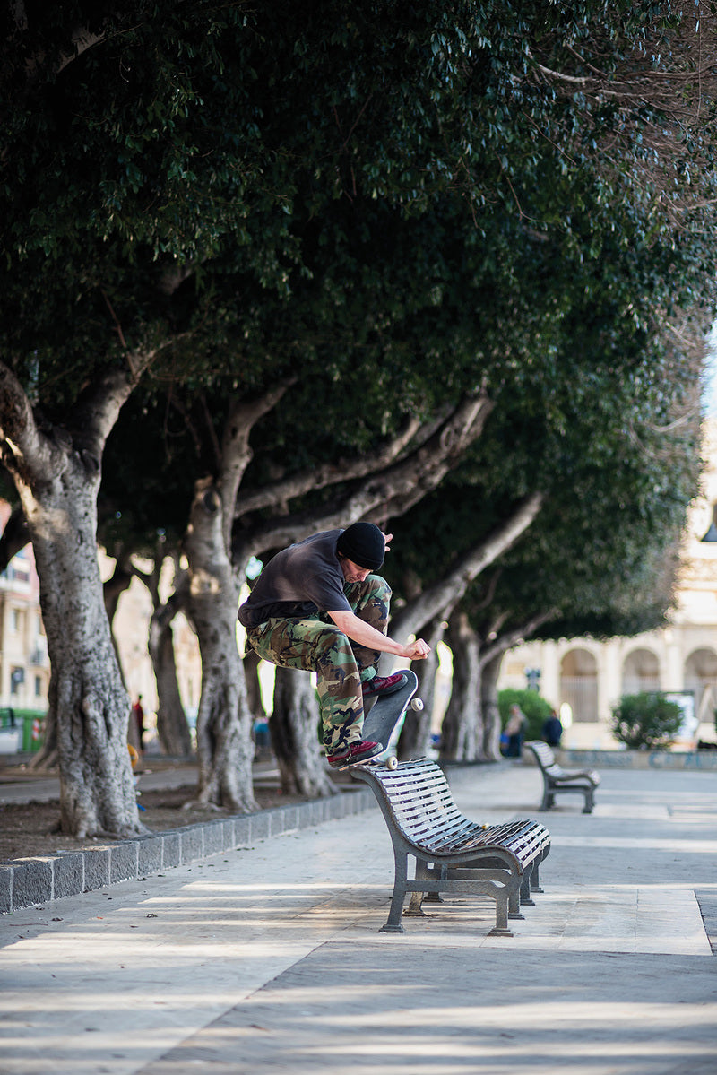 Leonchapdelaine nosegrind ethiermyette cmyk