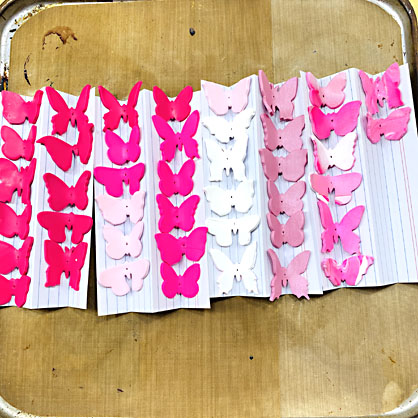 photo shows butterflies on index cards