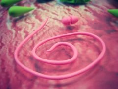 create pink clay coil