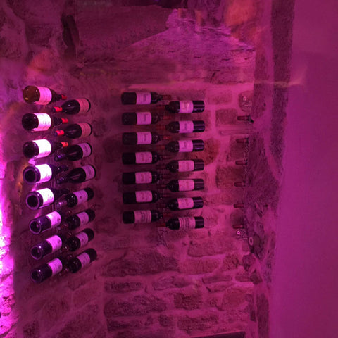 Visio Rack Visio Cloud Wine Wall leading down stairs to wine cellar