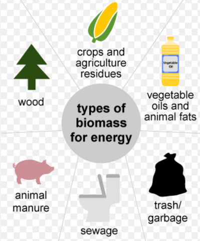 Biomass off grid live