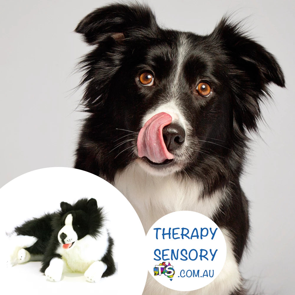 Weighted Plush Dog – Sensory Tools Australia