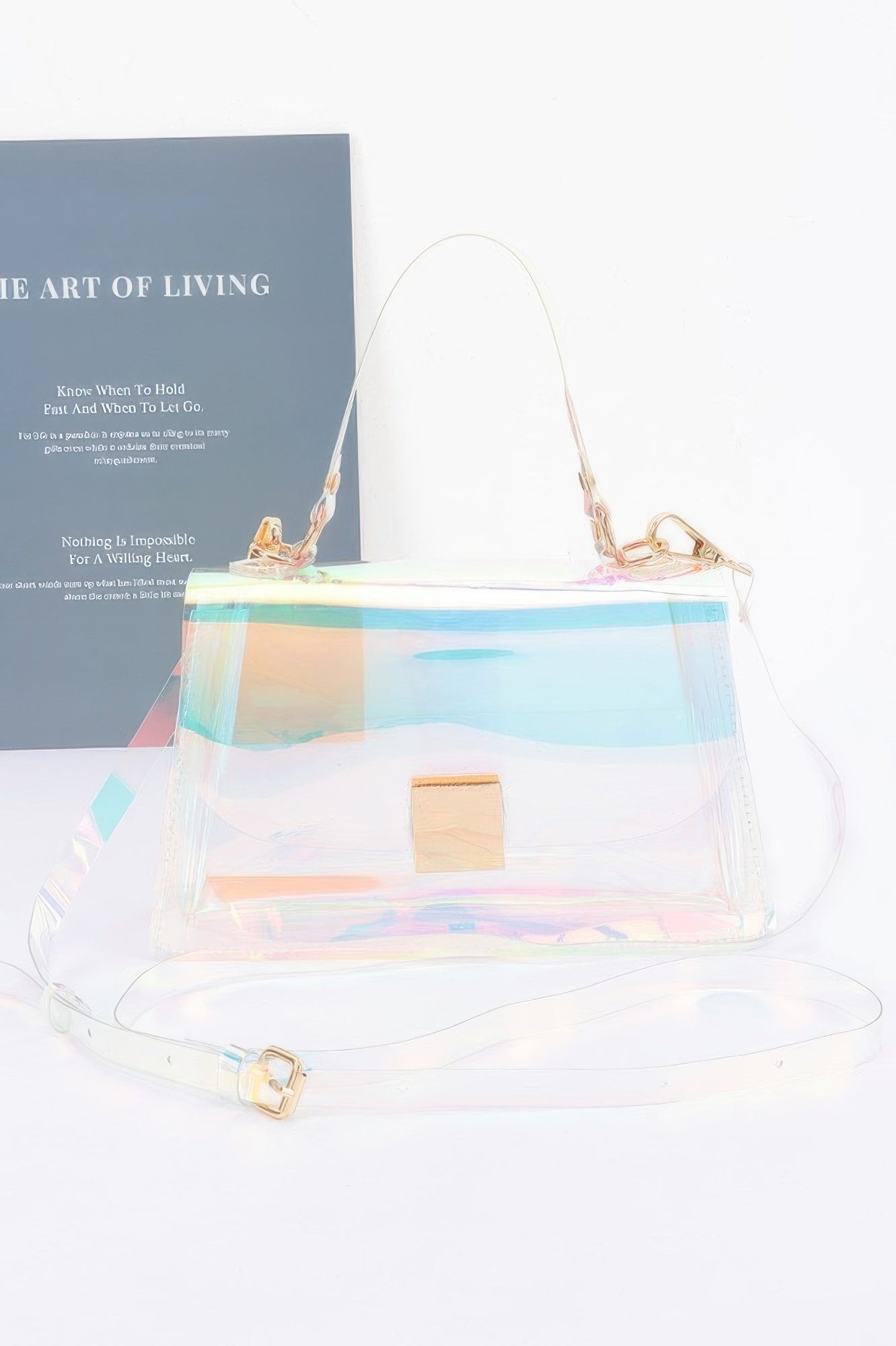 Transparent Top Handle Flap Clutch