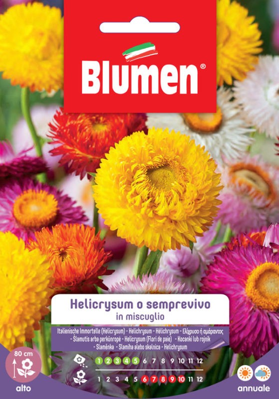 Semi Statice sinuata in miscuglio Blumen – Felice Natura