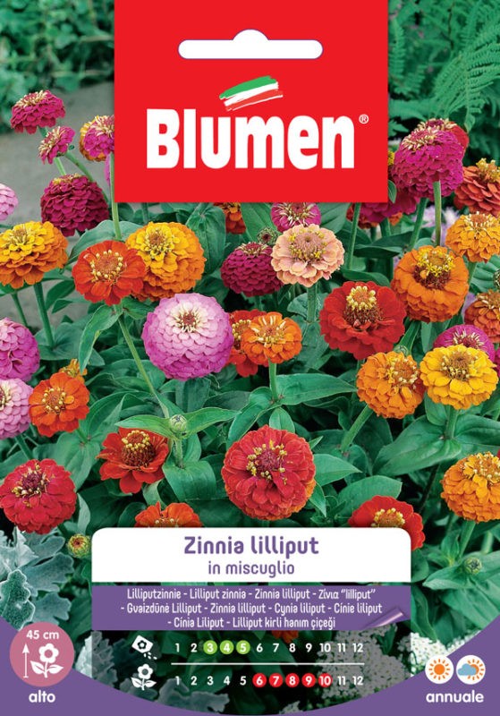 Blumen - Semi - Zinnia - Thumbelina - nana - da bordura - in miscuglio –  Felice Natura