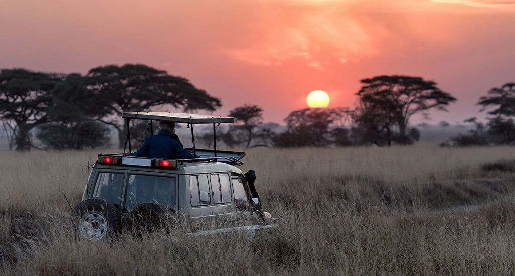 3. Safari game reserve