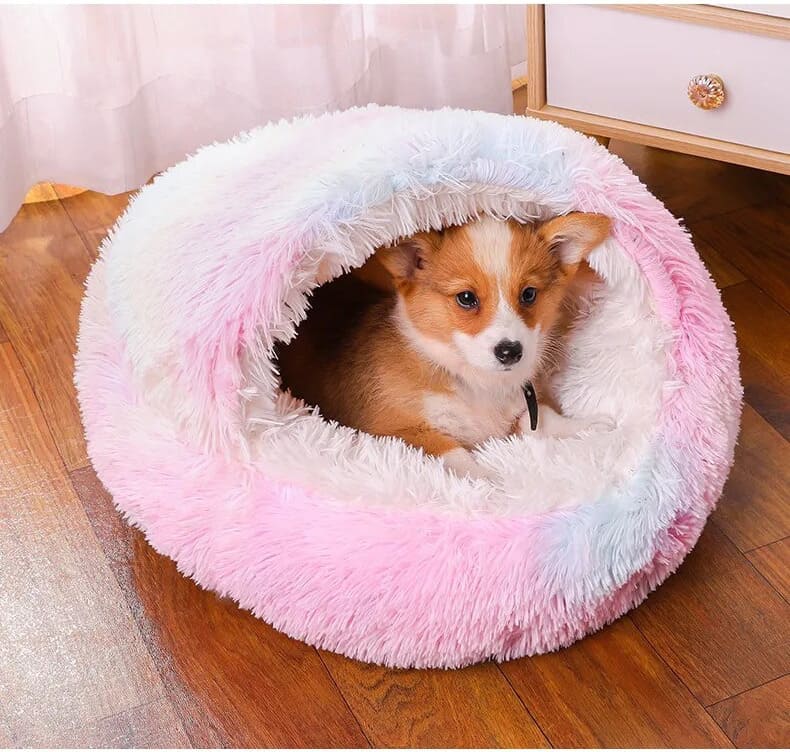 Calming Dog Bed