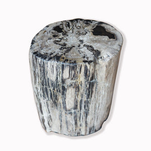 PF-2087 Petrified Wood Stool by AIRE Furniture