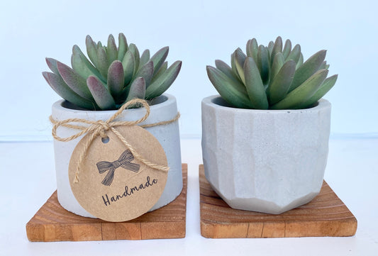 Artificial Air Plant in handmade Concrete Pot with Wood Tray – Ursina's  Deco Shop