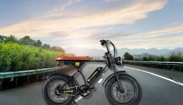 type of electric bike -  Throttle-Assist Ebikes