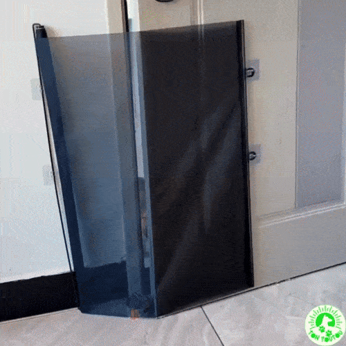 barriere-pour-chien-extensible