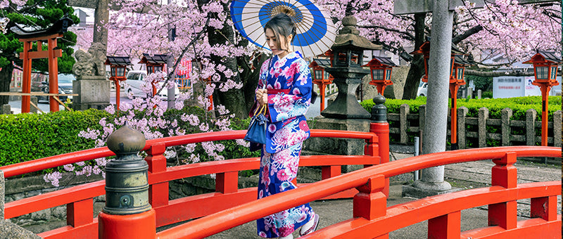 hanami japan 