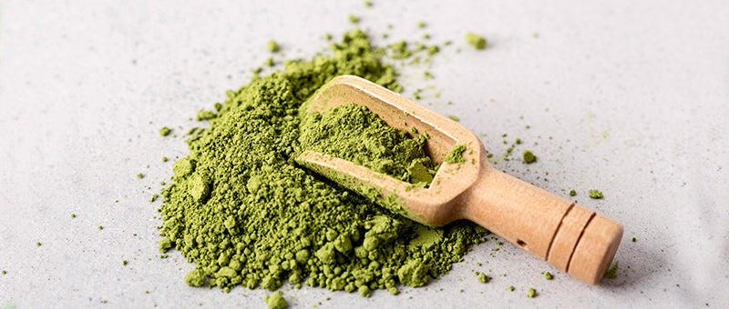 matcha powder