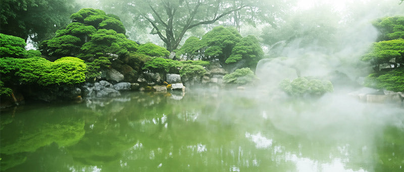 onsen en la naturaleza
