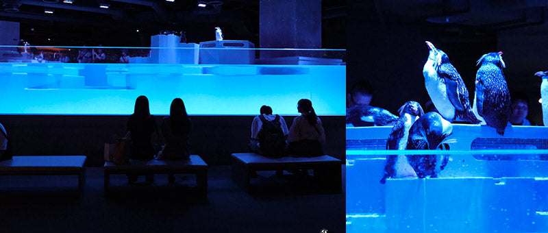 sapporo aquarium