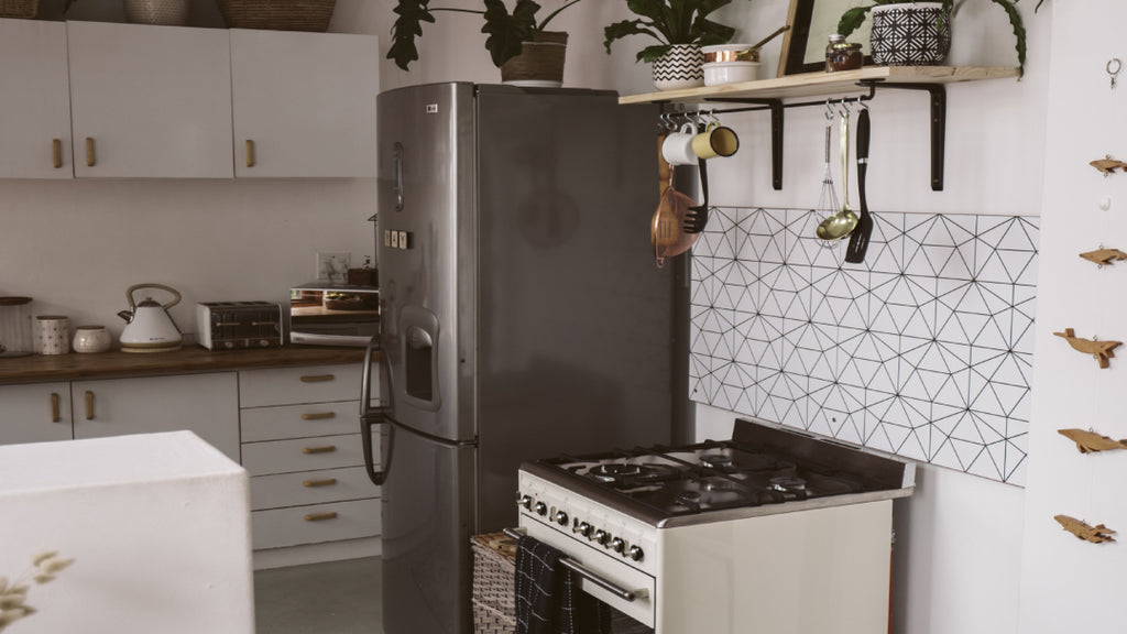 kitchen with fridge and plants