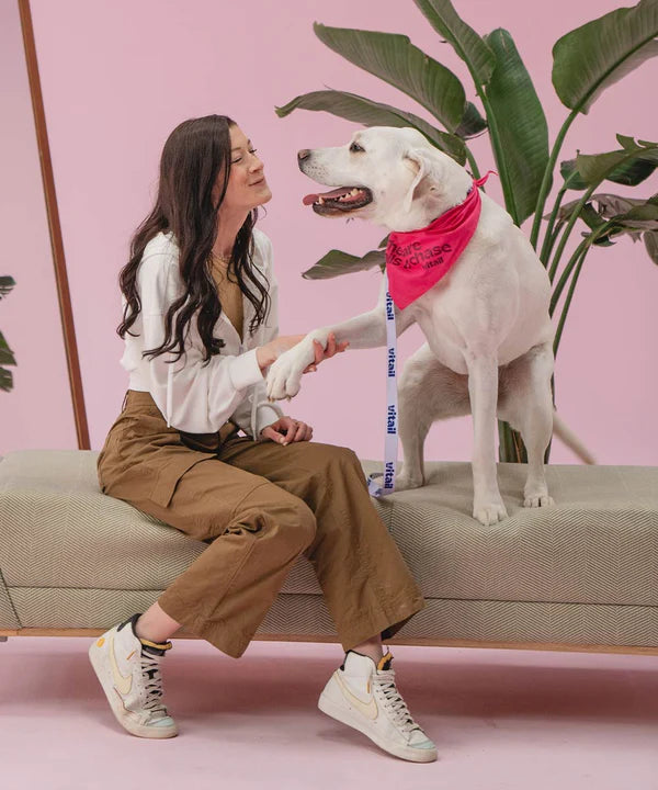 Woman shaking hands with a dog wearing a pink bandana, sitting on a bench indoors.