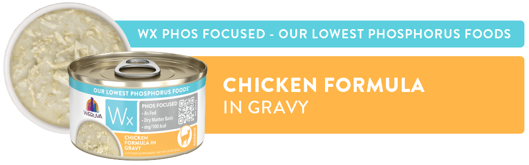 Wx Phos Focused Chicken Formula in Gravy