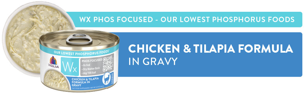 Wx Phos Focused Chicken & Tilapia Formula in Gravy