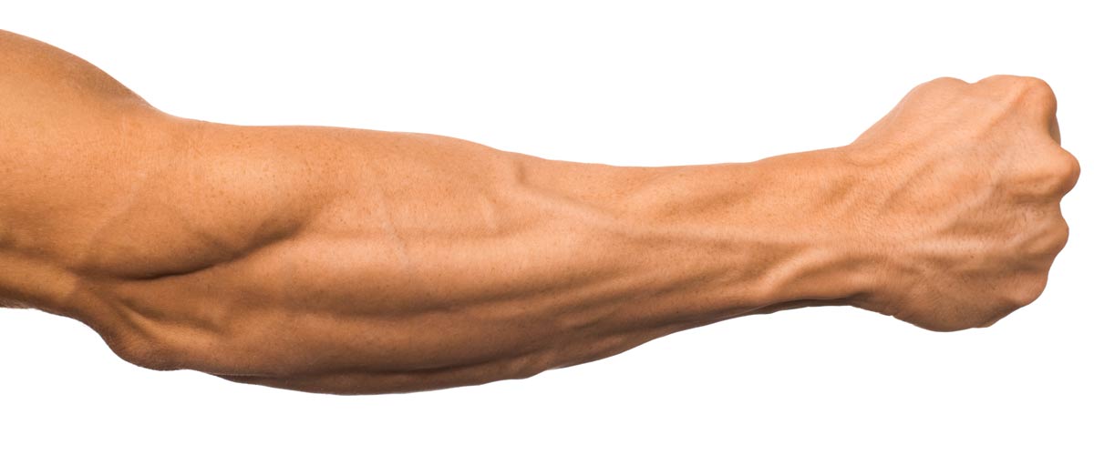 Entrenamiento muscular EMS para el antebrazo