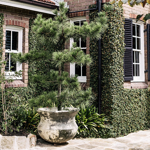 Stylish outdoor pots enhancing a modern garden design in Los Angeles