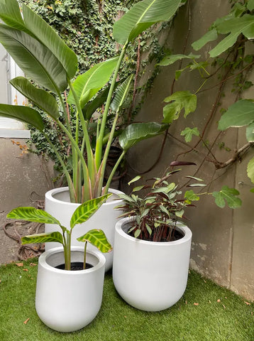 slugg lightweight pot plants on garden corner
