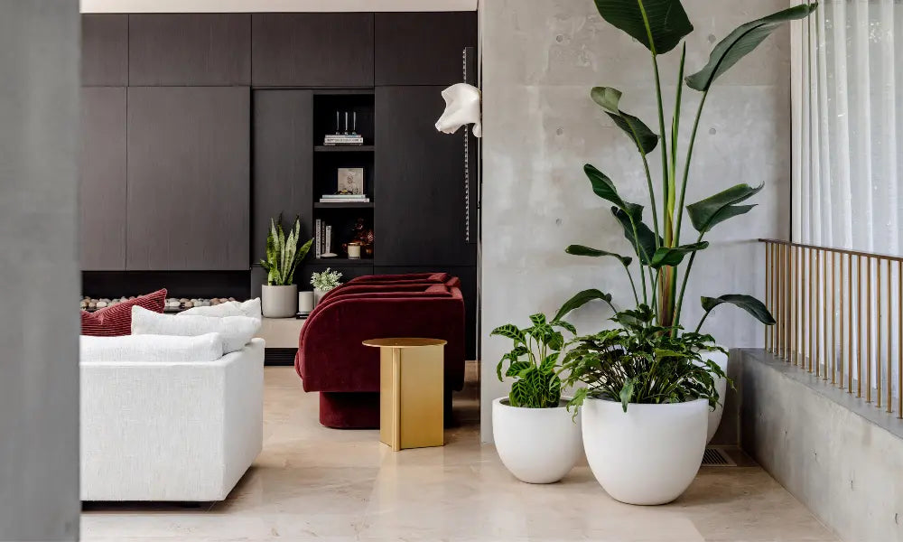 Wide selection of pots and planters for sale in Los Angeles