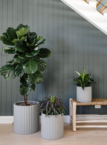 Slugg planter displaying a flourishing fern, ideal for adding a fresh, natural element to Houston interiors.