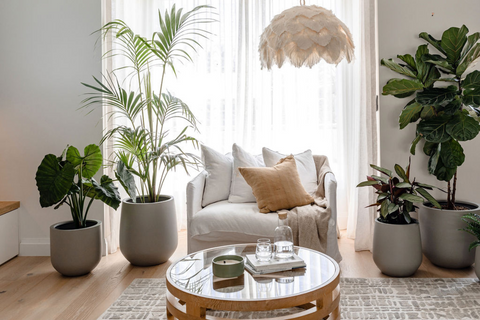 stylish living room with various plants and slugg garden pots