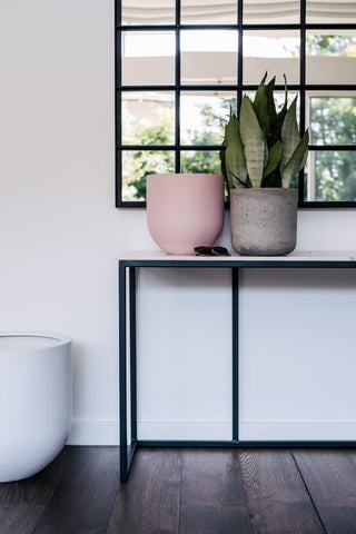 Contemporary space featuring elegant Slugg plant pots, one in soft pink and the other in concrete grey, with sansevieria plants by a large window with black frames