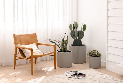 slugg lightweight pot plants on living room