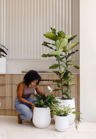 slugg lightweight pot plants with lady