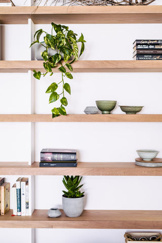 Stylish wooden bookshelf decorated with Slugg plant pots, featuring a trailing pothos and aloe vera, alongside a curated selection of books and ceramics