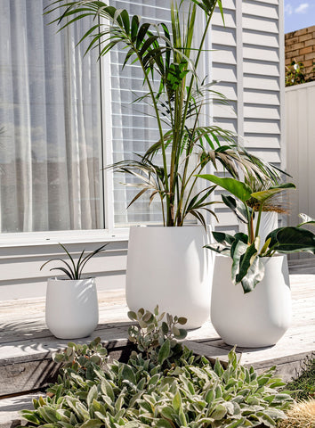 Slugg USA Best Outdoor Planters Miami