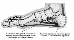 Fitting the aging foot