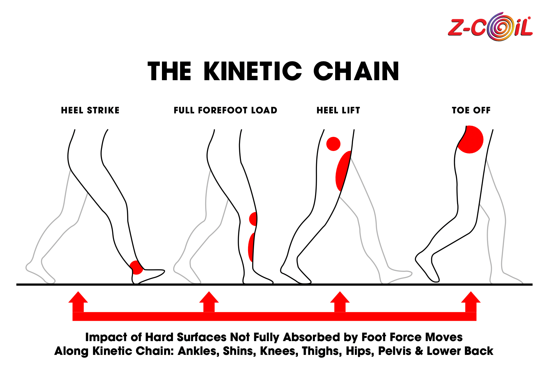 the kinetic chain