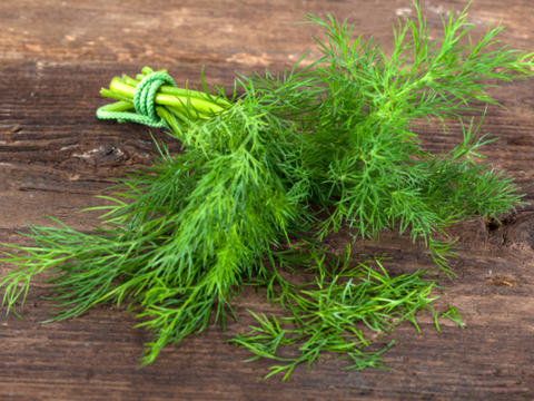 dill bunch