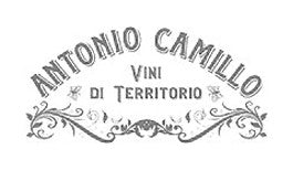 https://cdn.shopify.com/s/files/1/0668/1860/5335/articles/brands_camillo-antonio_1140.jpg?v=1709027080